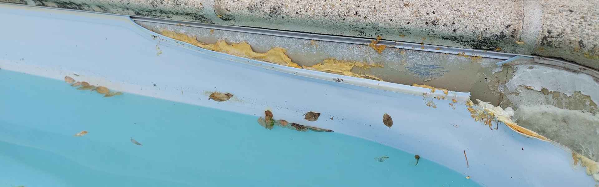 Rénovation de piscine