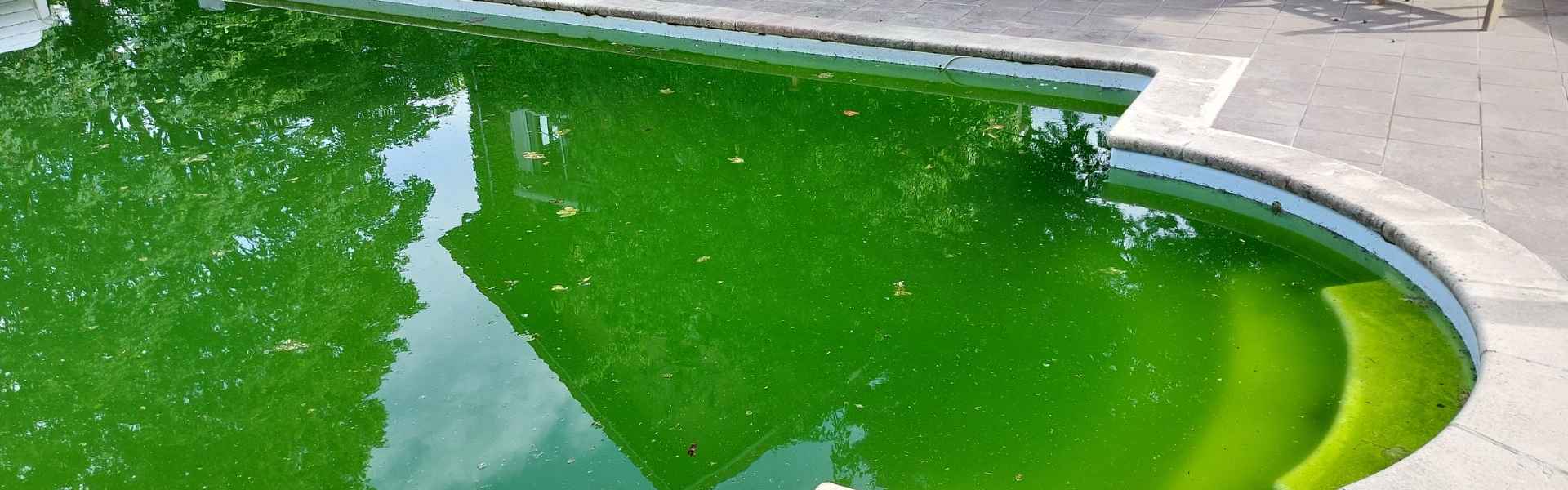 Entretien de piscine