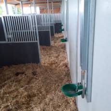 Installation d&#039;abreuvoirs et pompe antigel pour un centre équestre à Rillieux la Pape (69)