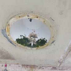 Rénovation complète d’une piscine à Cogny (69)