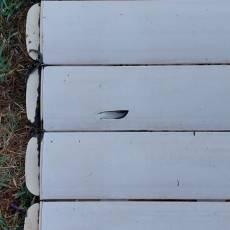 Remplacement d&#039;un tablier de volet et fixations sur piscine 14m x 7m