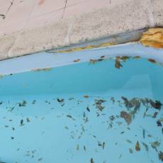 Rénovation complète d’une piscine à Cogny (69)